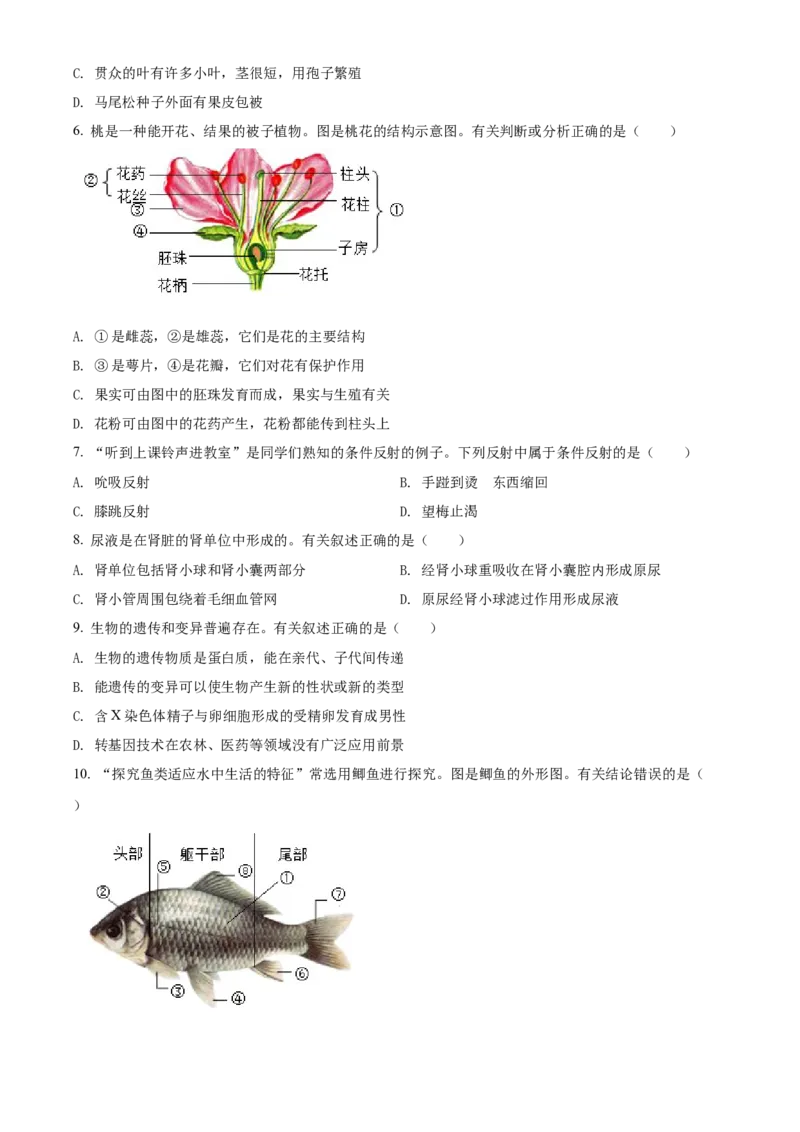 精品解析：2022年江苏省连云港市中考生物真题（原卷版）_6生物中考复习_2025中考复习资料_中考真题（近三年）_2022年生物中考真题114份_精品解析：2022年江苏省连云港市中考生物真题