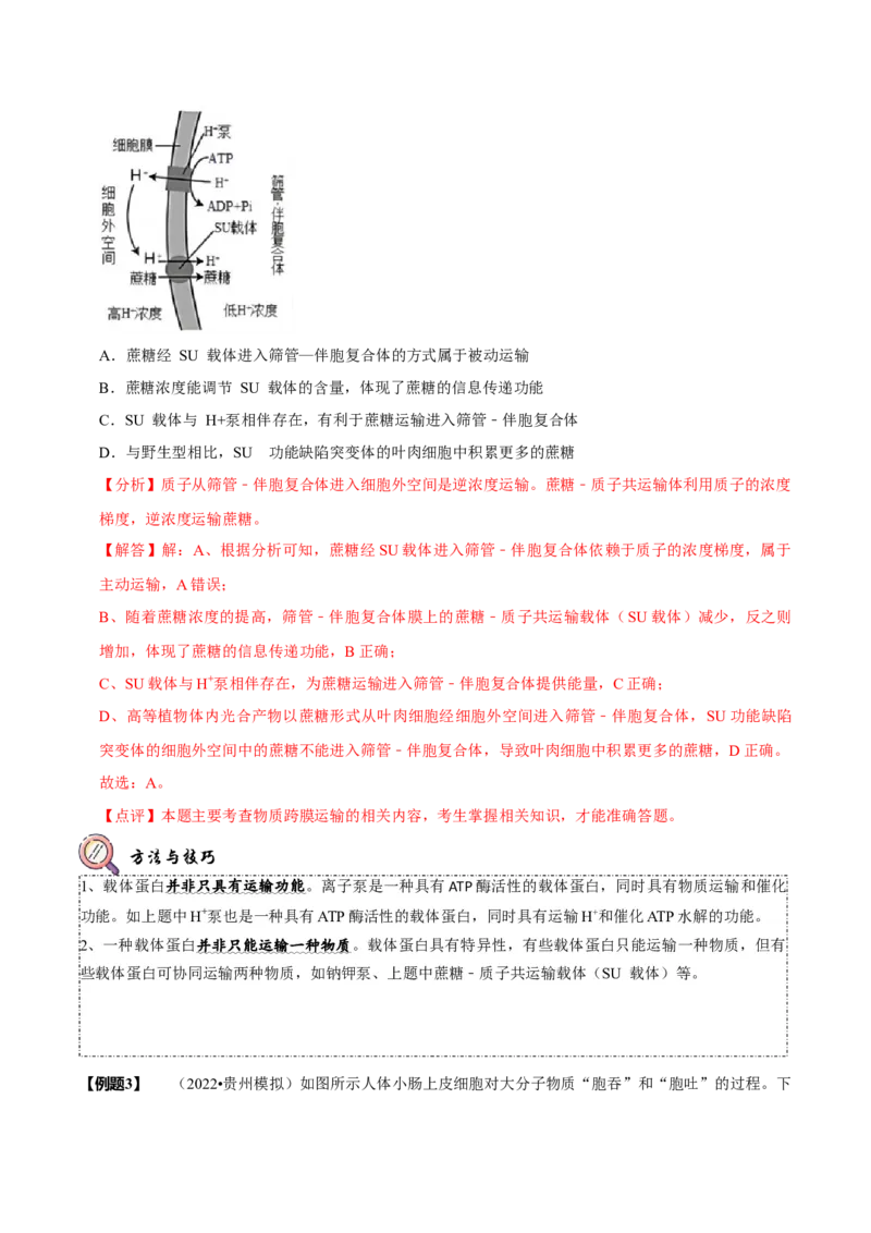 题型3物质进出细胞的方式（题型归纳）（解析版）_新高考复习资料_2023年新高考复习资料_二轮复习_技巧点拨备战2023年高考生物二轮题型复习讲解286731240