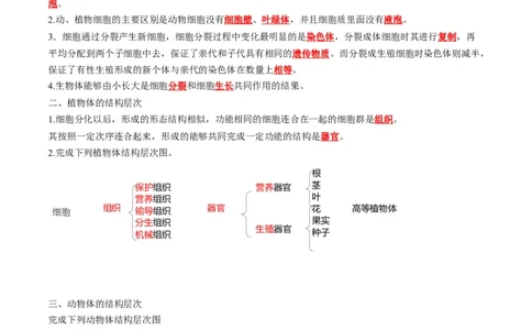 重难点02生物体的结构层次-2023年中考生物热点&middot;重点&middot;难点专练（全国通用）（解析版）_6生物中考复习_2023年中考复习资料_专项复习