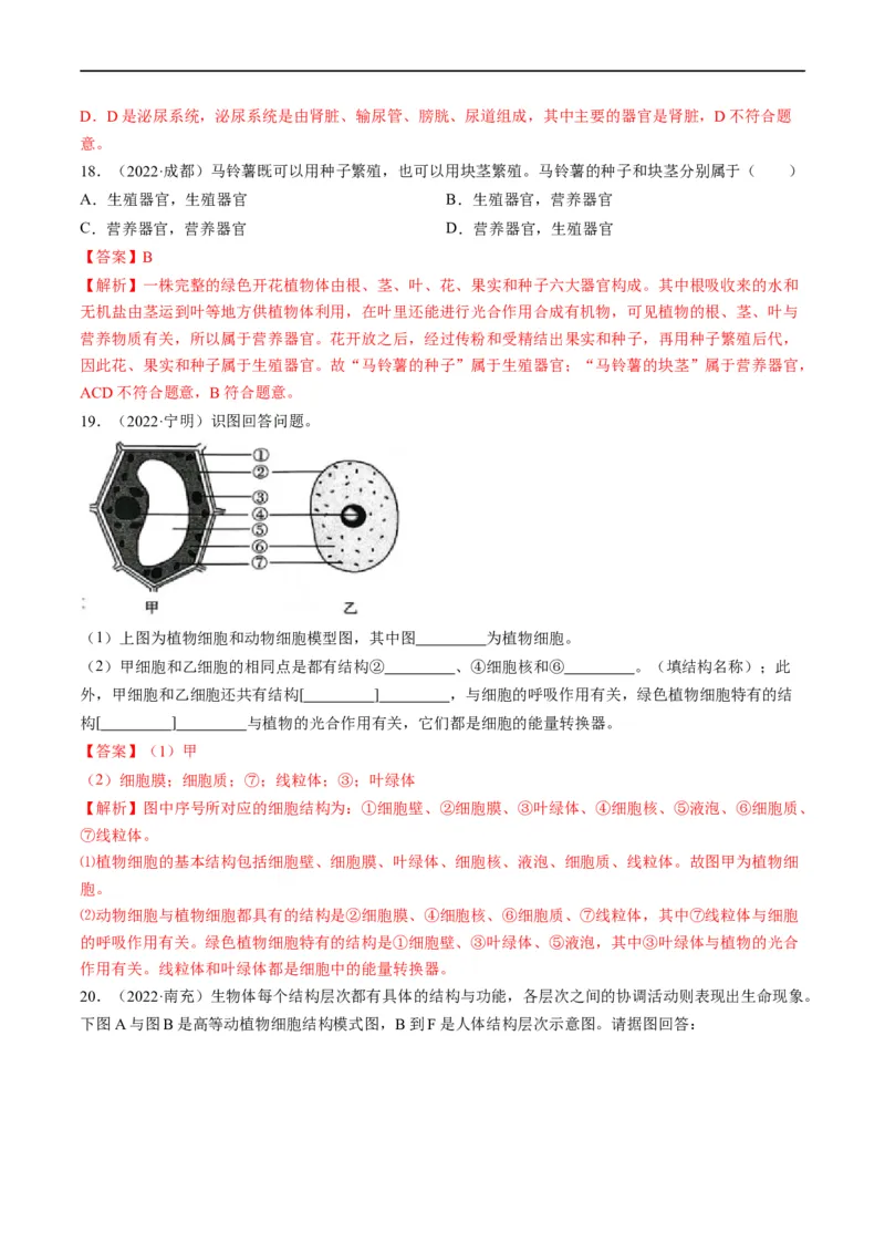 重难点02生物体的结构层次-2023年中考生物热点&middot;重点&middot;难点专练（全国通用）（解析版）_6生物中考复习_2023年中考复习资料_专项复习