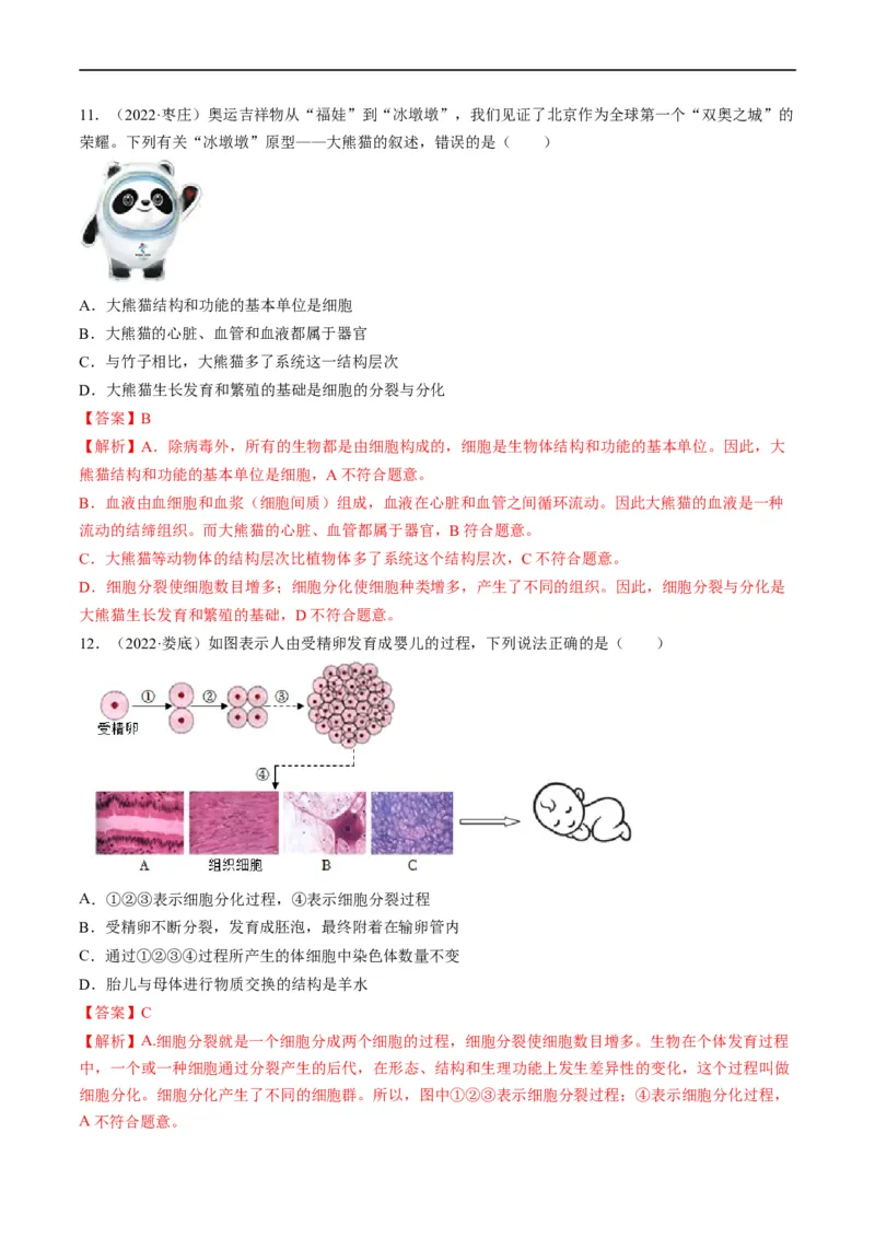 重难点02生物体的结构层次-2023年中考生物热点&middot;重点&middot;难点专练（全国通用）（解析版）_6生物中考复习_2023年中考复习资料_专项复习