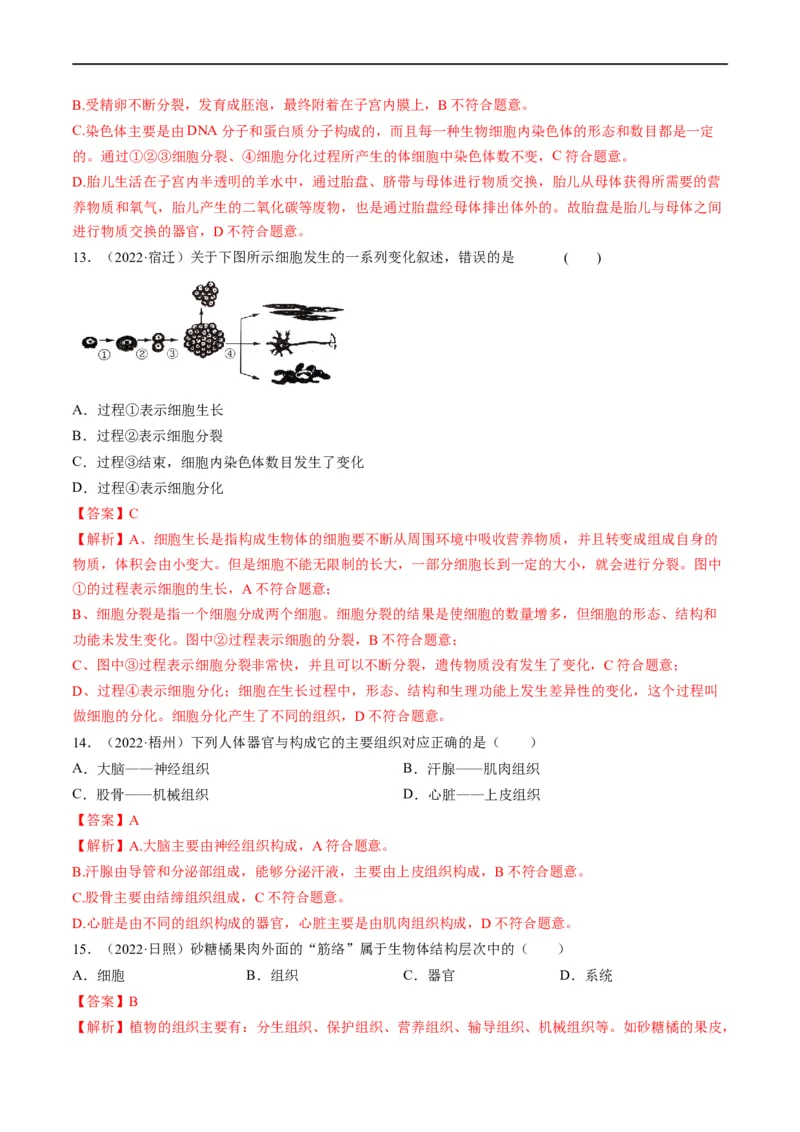 重难点02生物体的结构层次-2023年中考生物热点&middot;重点&middot;难点专练（全国通用）（解析版）_6生物中考复习_2023年中考复习资料_专项复习