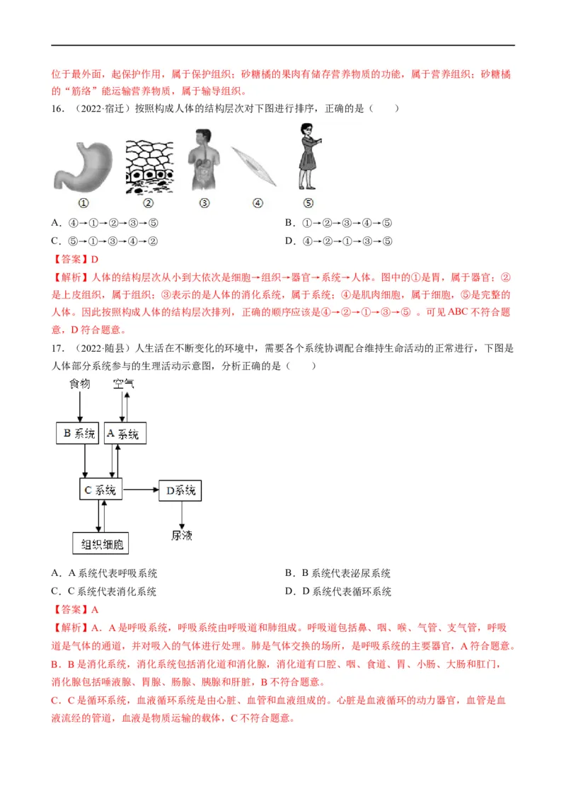 重难点02生物体的结构层次-2023年中考生物热点&middot;重点&middot;难点专练（全国通用）（解析版）_6生物中考复习_2023年中考复习资料_专项复习