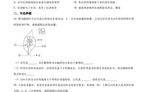 精品解析：2022年湖北省十堰市结业考试生物试题（原卷版）_6生物中考复习_2025中考复习资料_中考真题（近三年）_2022年生物中考真题114份_精品解析：2022年湖北省十堰市结业考试生物试题