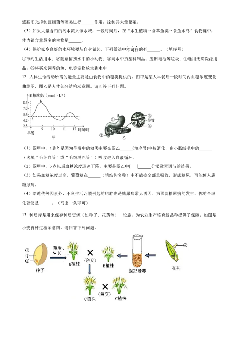 精品解析：2022年江苏省徐州市中考生物真题（原卷版）_6生物中考复习_2025中考复习资料_中考真题（近三年）_2022年生物中考真题114份_精品解析：2022年江苏省徐州市中考生物真题
