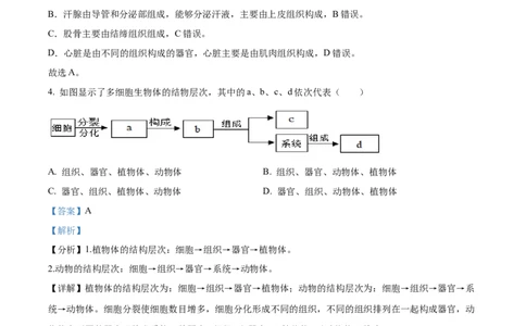 精品解析：2022年广西梧州市中考生物真题（解析版）_6生物中考复习_2025中考复习资料_中考真题（近三年）_2022年生物中考真题114份_精品解析：2022年广西梧州市中考生物真题