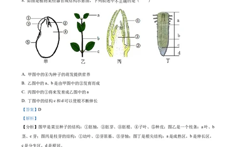 精品解析：2022年广西梧州市中考生物真题（解析版）_6生物中考复习_2025中考复习资料_中考真题（近三年）_2022年生物中考真题114份_精品解析：2022年广西梧州市中考生物真题
