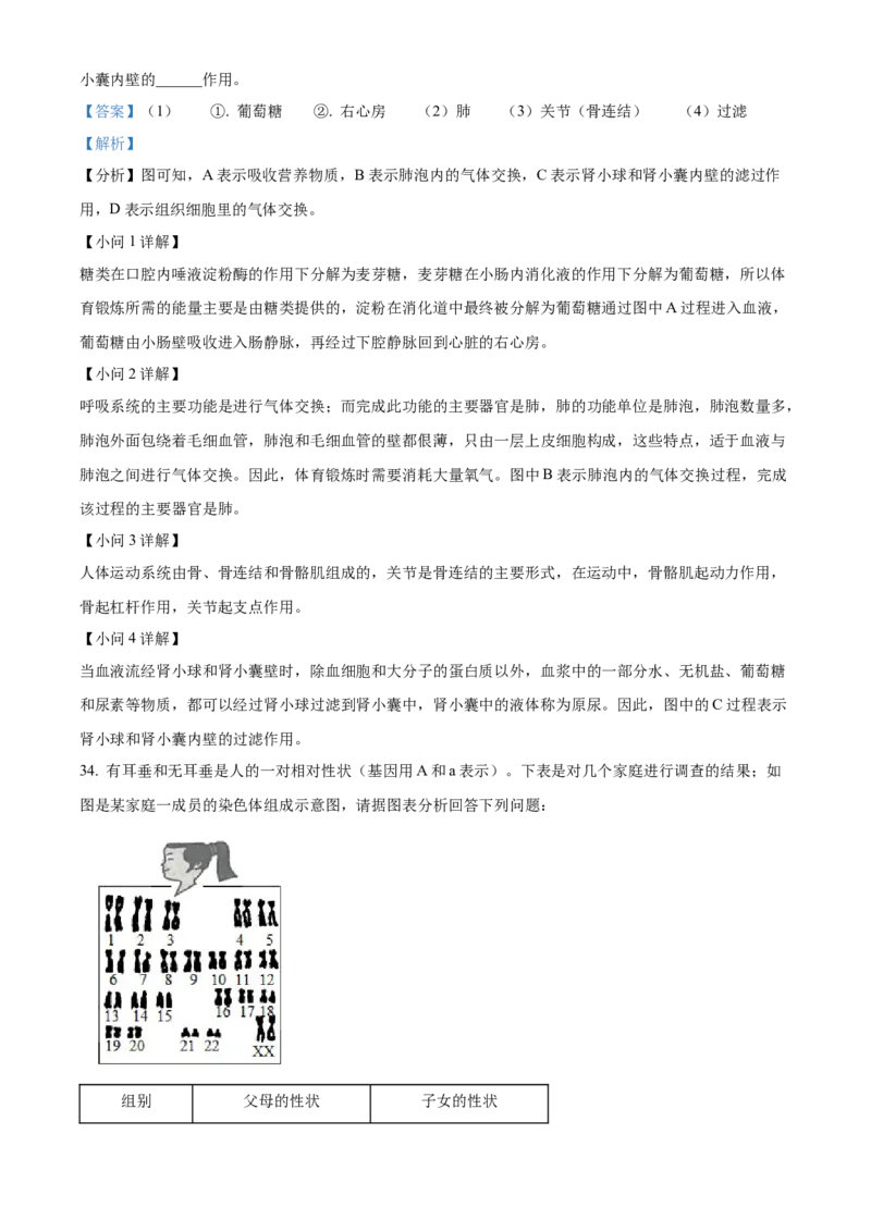 精品解析：2022年广西梧州市中考生物真题（解析版）_6生物中考复习_2025中考复习资料_中考真题（近三年）_2022年生物中考真题114份_精品解析：2022年广西梧州市中考生物真题