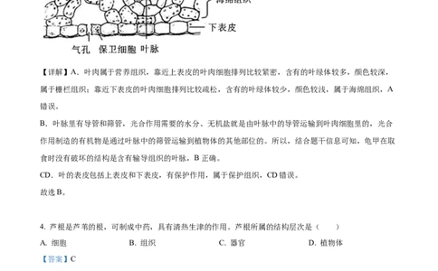 精品解析：2022年湖南省长沙市中考生物真题（解析版）_6生物中考复习_2025中考复习资料_中考真题（近三年）_2022年生物中考真题114份_精品解析：2022年湖南省长沙市中考生物真题
