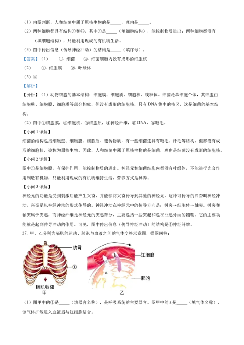 精品解析：2022年湖南省长沙市中考生物真题（解析版）_6生物中考复习_2025中考复习资料_中考真题（近三年）_2022年生物中考真题114份_精品解析：2022年湖南省长沙市中考生物真题