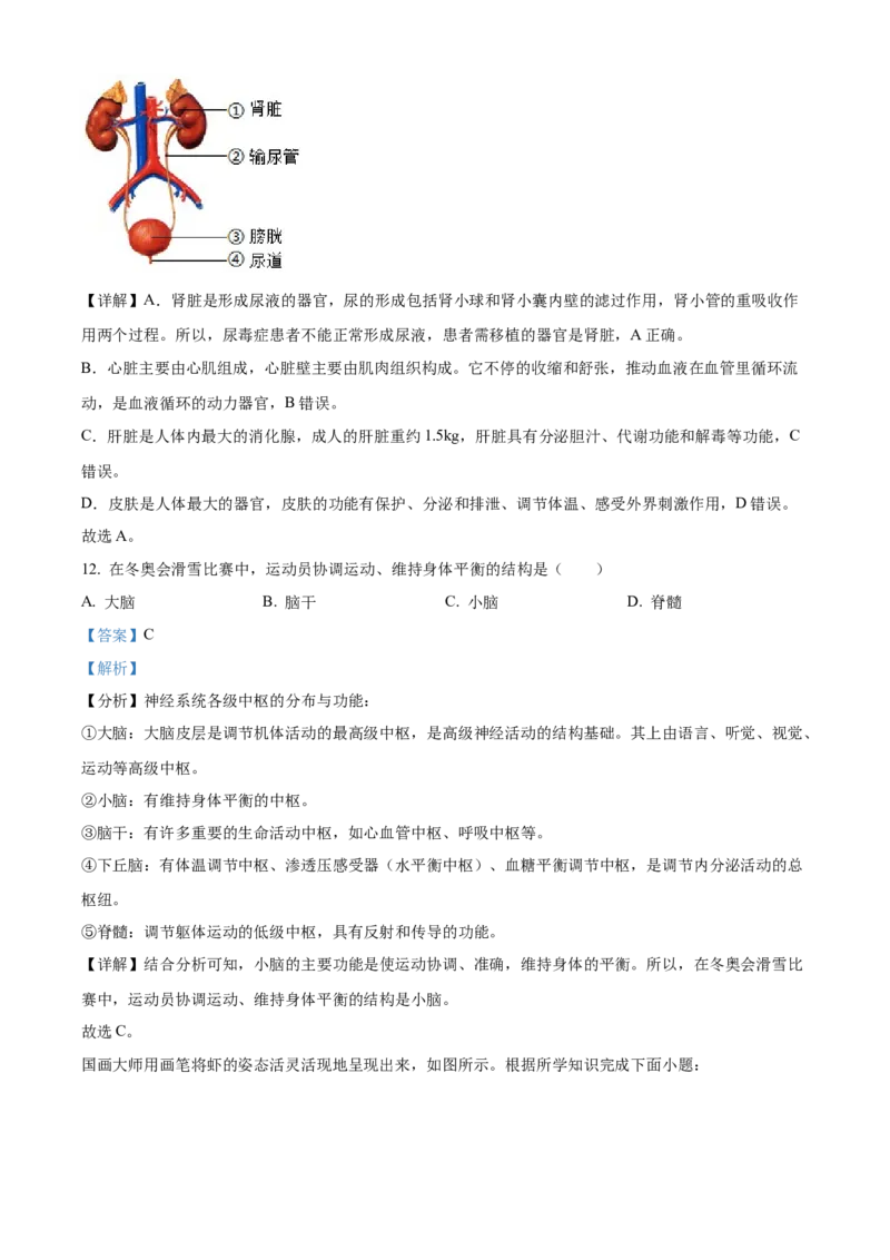 精品解析：2022年湖南省长沙市中考生物真题（解析版）_6生物中考复习_2025中考复习资料_中考真题（近三年）_2022年生物中考真题114份_精品解析：2022年湖南省长沙市中考生物真题