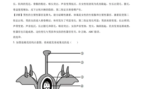 精品解析：2024年吉林省中考生物真题（解析版）_new_6生物中考复习_2025中考复习资料_中考真题（近三年）_2024年生物中考真题