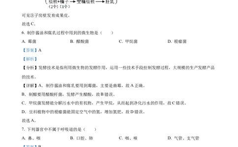 精品解析：2024年吉林省中考生物真题（解析版）_new_6生物中考复习_2025中考复习资料_中考真题（近三年）_2024年生物中考真题