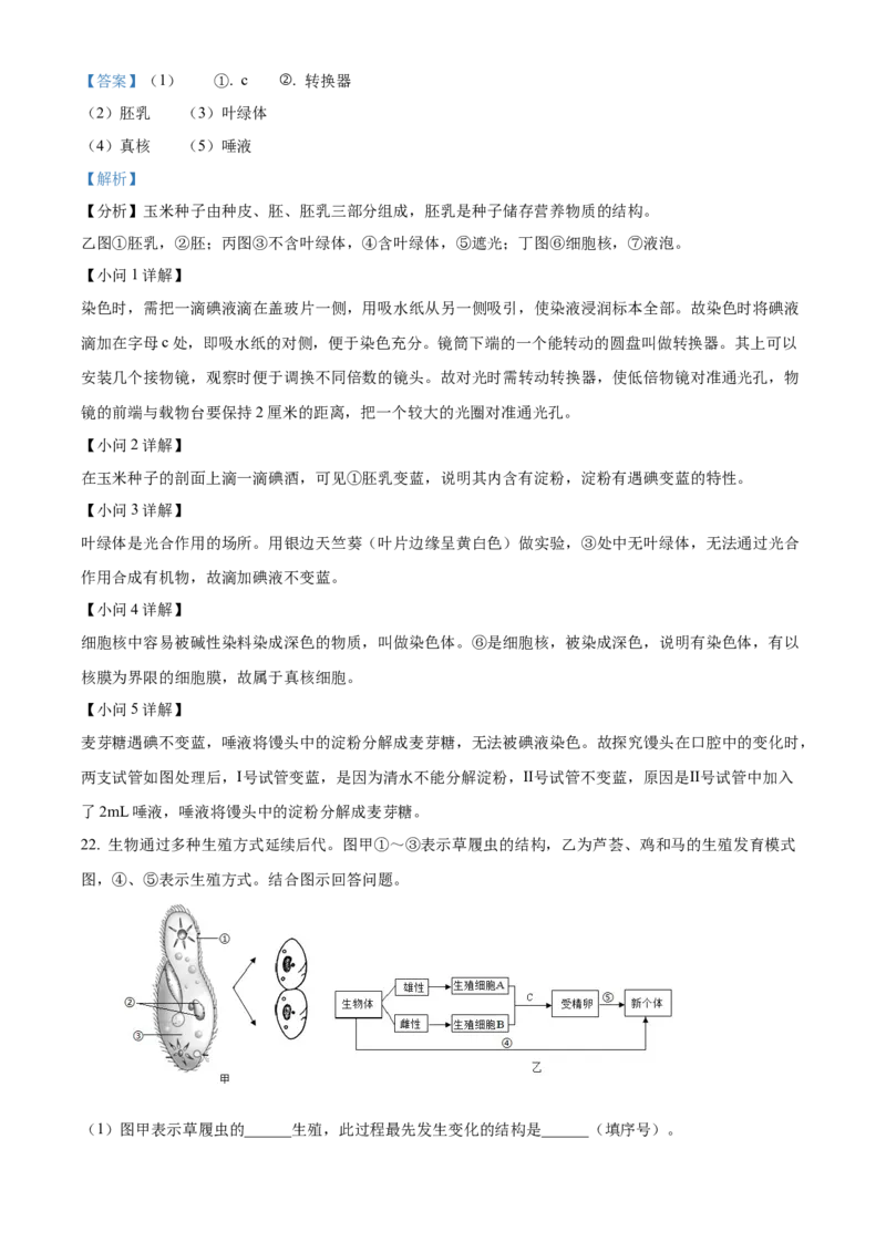 精品解析：2024年吉林省中考生物真题（解析版）_new_6生物中考复习_2025中考复习资料_中考真题（近三年）_2024年生物中考真题