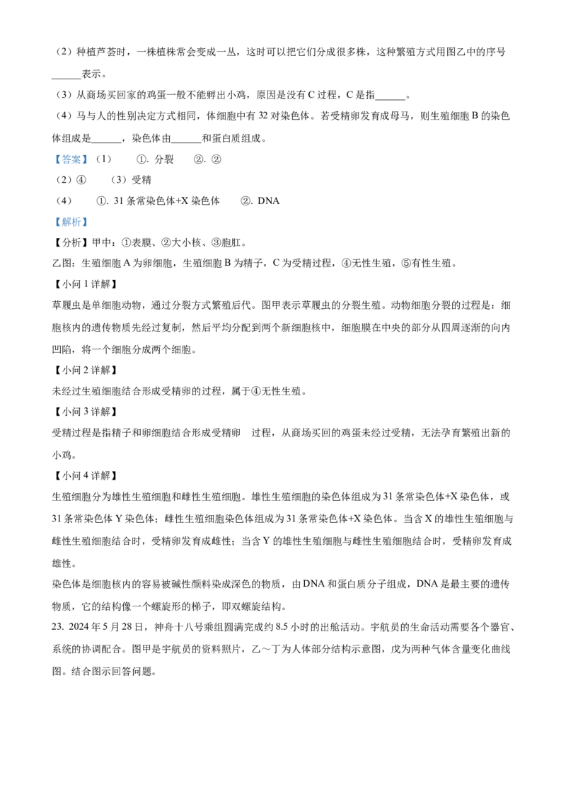 精品解析：2024年吉林省中考生物真题（解析版）_new_6生物中考复习_2025中考复习资料_中考真题（近三年）_2024年生物中考真题