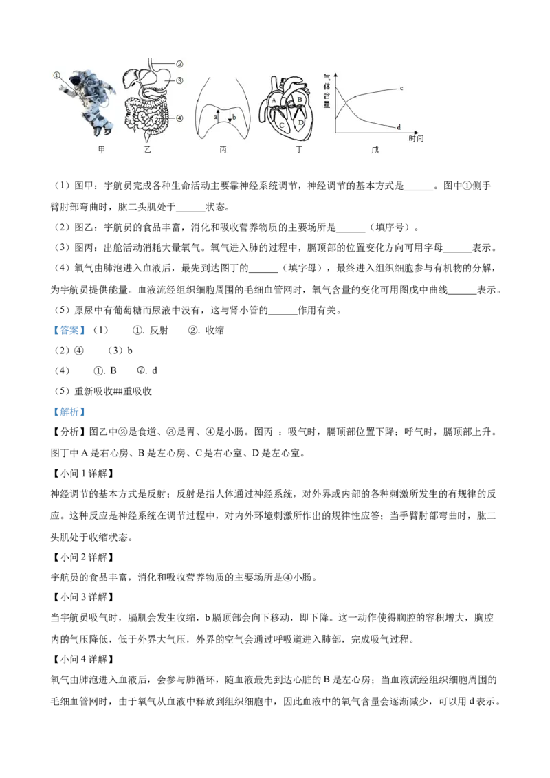 精品解析：2024年吉林省中考生物真题（解析版）_new_6生物中考复习_2025中考复习资料_中考真题（近三年）_2024年生物中考真题