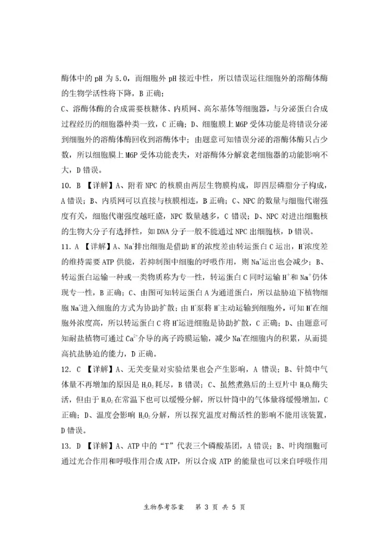 重庆鲁能巴蜀中学校2024-2025学年高一下学期3月月考生物试题参考答案_2025年04月试卷_0418重庆市巴蜀中学2024-2025学年高一下学期3月月考