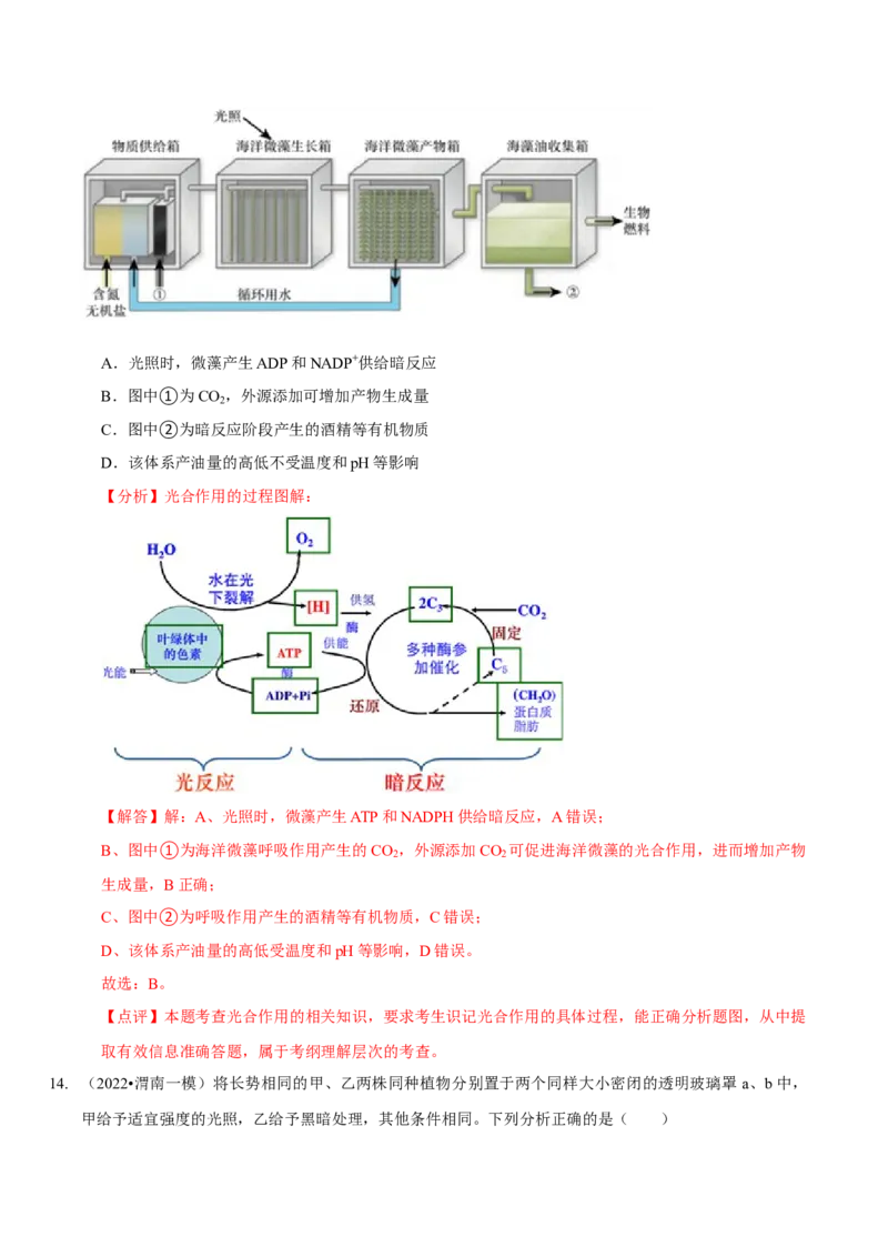 题型7光合作用与细胞呼吸相关的实验探究（题型集训）（解析版）_新高考复习资料_2023年新高考复习资料_二轮复习_技巧点拨备战2023年高考生物二轮题型复习讲解286731240