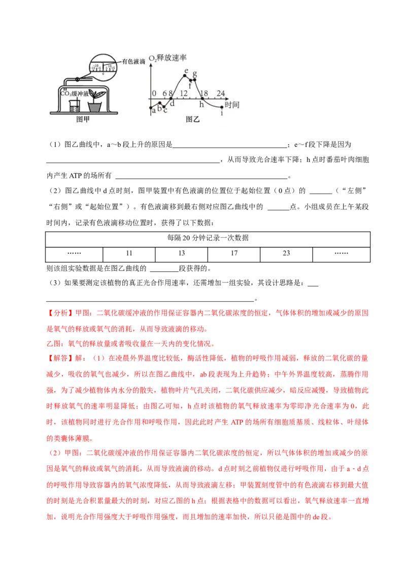 题型7光合作用与细胞呼吸相关的实验探究（题型集训）（解析版）_新高考复习资料_2023年新高考复习资料_二轮复习_技巧点拨备战2023年高考生物二轮题型复习讲解286731240