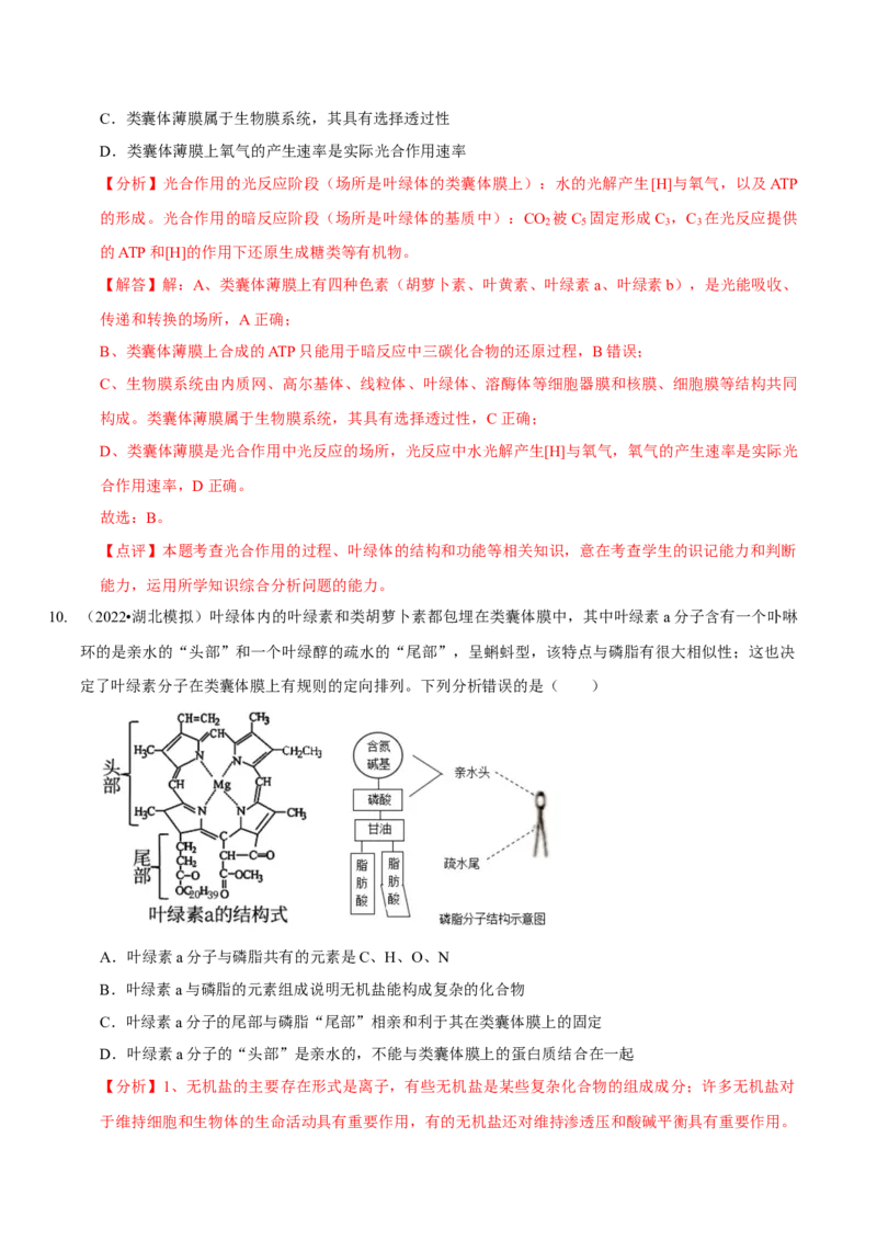 题型7光合作用与细胞呼吸相关的实验探究（题型集训）（解析版）_新高考复习资料_2023年新高考复习资料_二轮复习_技巧点拨备战2023年高考生物二轮题型复习讲解286731240