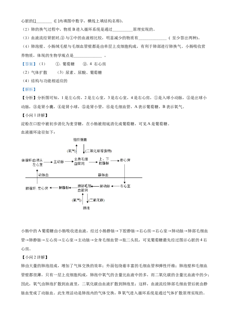 精品解析：2022年湖北省恩施州中考生物真题（解析版）_6生物中考复习_2025中考复习资料_中考真题（近三年）_2022年生物中考真题114份_精品解析：2022年湖北省恩施州中考生物真题