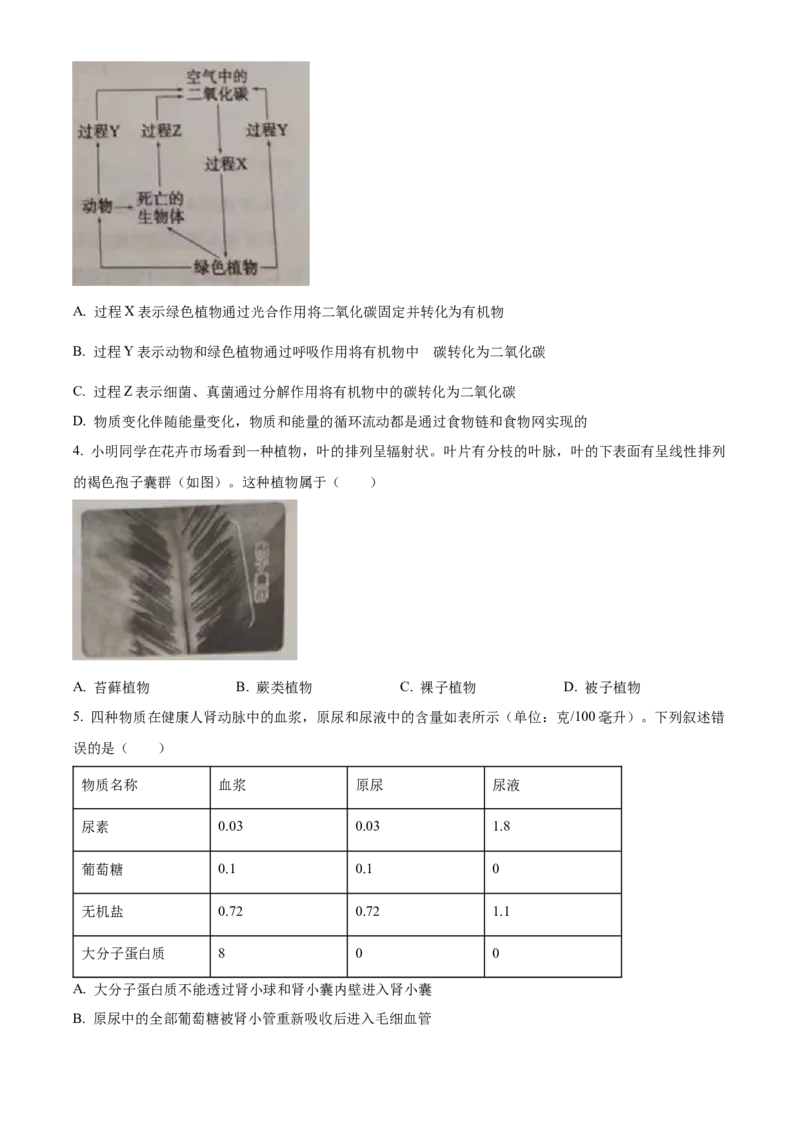 精品解析：2023年山东省泰安市中考生物真题（原卷版）_new_6生物中考复习_2025中考复习资料_中考真题（近三年）_2023年生物中考真题
