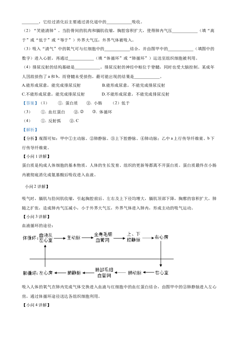 精品解析：2023年湖北省黄冈市孝感市咸宁市生物中考真题（解析版）_new_6生物中考复习_2025中考复习资料_中考真题（近三年）_2023年生物中考真题