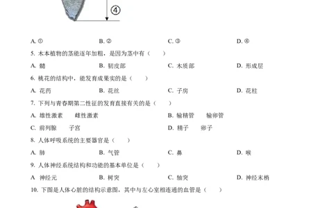 精品解析：2022年辽宁省沈阳市生物中考真题（原卷版）_6生物中考复习_2025中考复习资料_中考真题（近三年）_2022年生物中考真题114份_精品解析：2022年辽宁省沈阳市生物中考真题