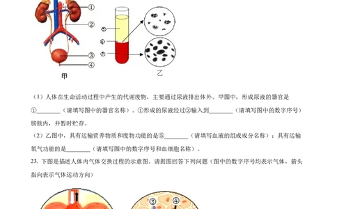 精品解析：2022年辽宁省沈阳市生物中考真题（原卷版）_6生物中考复习_2025中考复习资料_中考真题（近三年）_2022年生物中考真题114份_精品解析：2022年辽宁省沈阳市生物中考真题