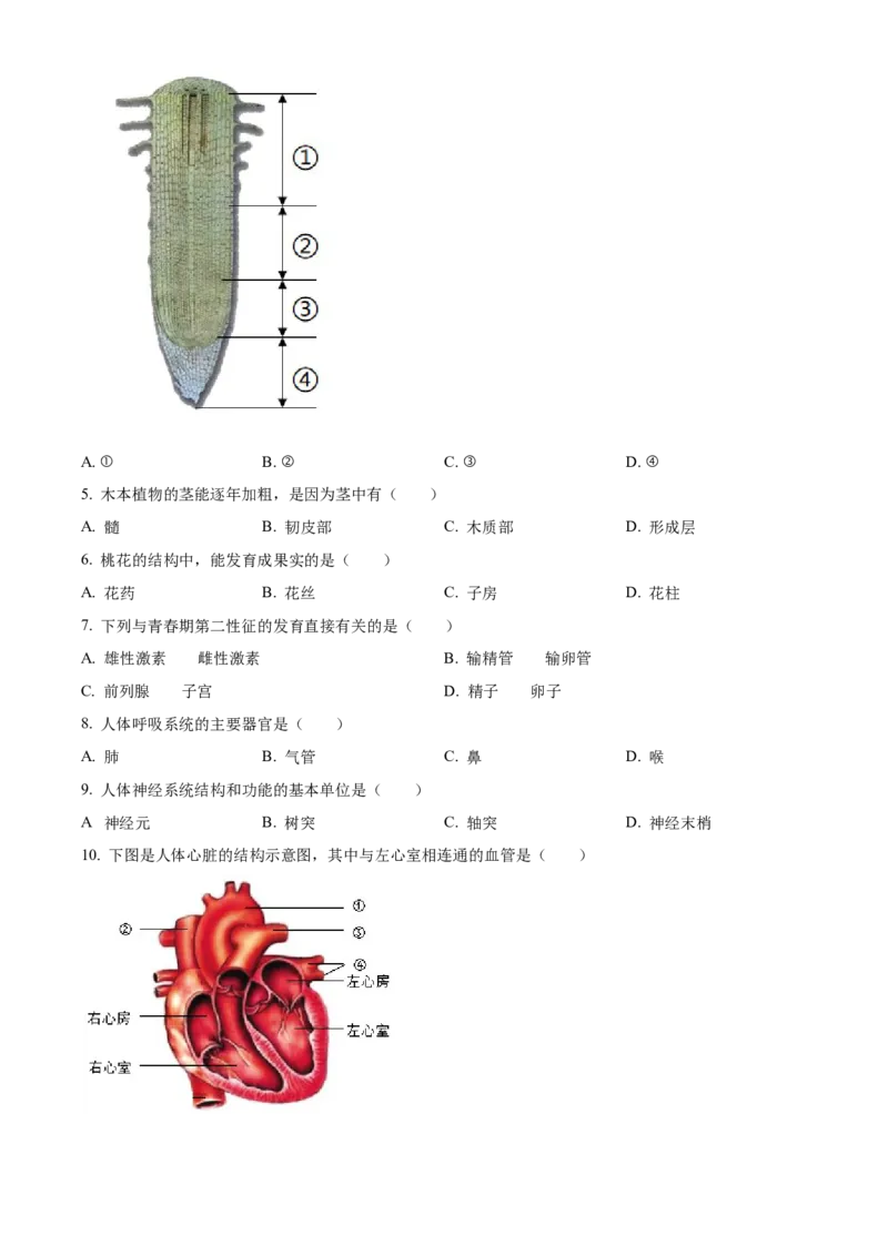 精品解析：2022年辽宁省沈阳市生物中考真题（原卷版）_6生物中考复习_2025中考复习资料_中考真题（近三年）_2022年生物中考真题114份_精品解析：2022年辽宁省沈阳市生物中考真题