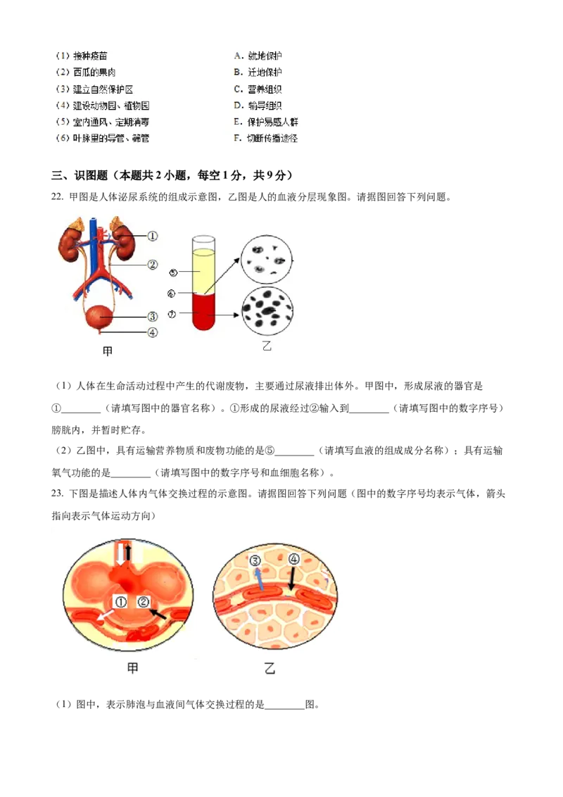 精品解析：2022年辽宁省沈阳市生物中考真题（原卷版）_6生物中考复习_2025中考复习资料_中考真题（近三年）_2022年生物中考真题114份_精品解析：2022年辽宁省沈阳市生物中考真题