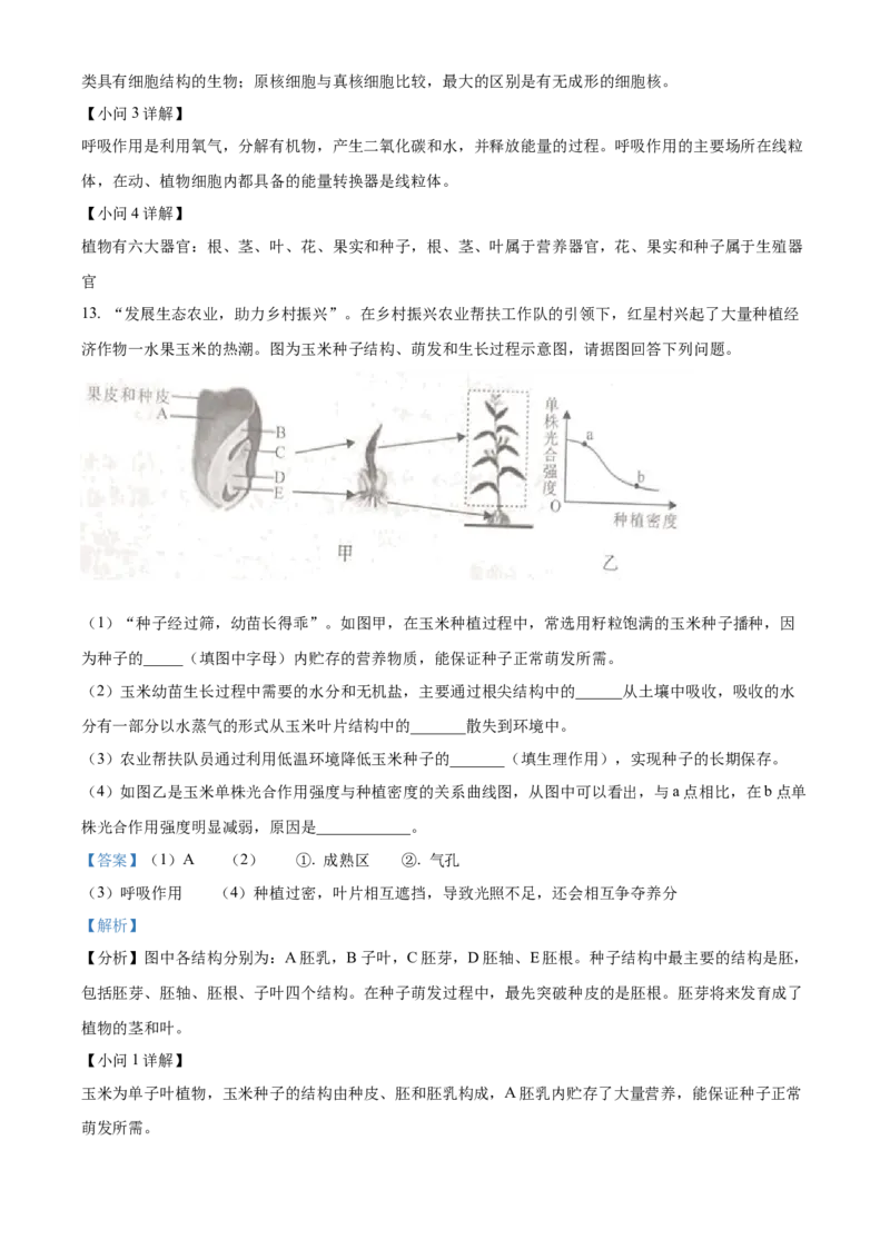 精品解析：2023年湖北省恩施州中考生物真题（解析版）_new_6生物中考复习_2025中考复习资料_中考真题（近三年）_2023年生物中考真题
