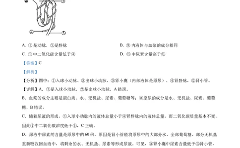 精品解析：2022年江苏省徐州市中考生物真题（解析版）_6生物中考复习_2025中考复习资料_中考真题（近三年）_2022年生物中考真题114份_精品解析：2022年江苏省徐州市中考生物真题