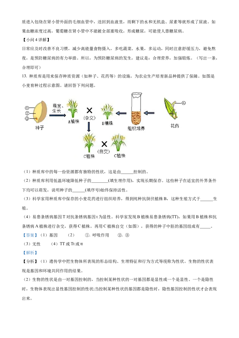 精品解析：2022年江苏省徐州市中考生物真题（解析版）_6生物中考复习_2025中考复习资料_中考真题（近三年）_2022年生物中考真题114份_精品解析：2022年江苏省徐州市中考生物真题