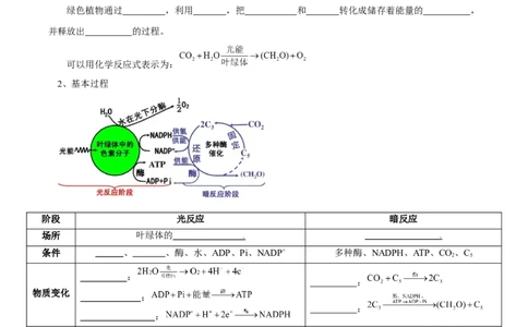 题型6从物质与能量视角探索光合作用（核心知识）（原卷版）_新高考复习资料_2023年新高考复习资料_二轮复习_技巧点拨备战2023年高考生物二轮题型复习讲解286731240