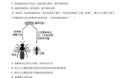 精品解析：2024年山东省聊城市中考生物试题（原卷版）_new_6生物中考复习_2025中考复习资料_中考真题（近三年）_2024年生物中考真题