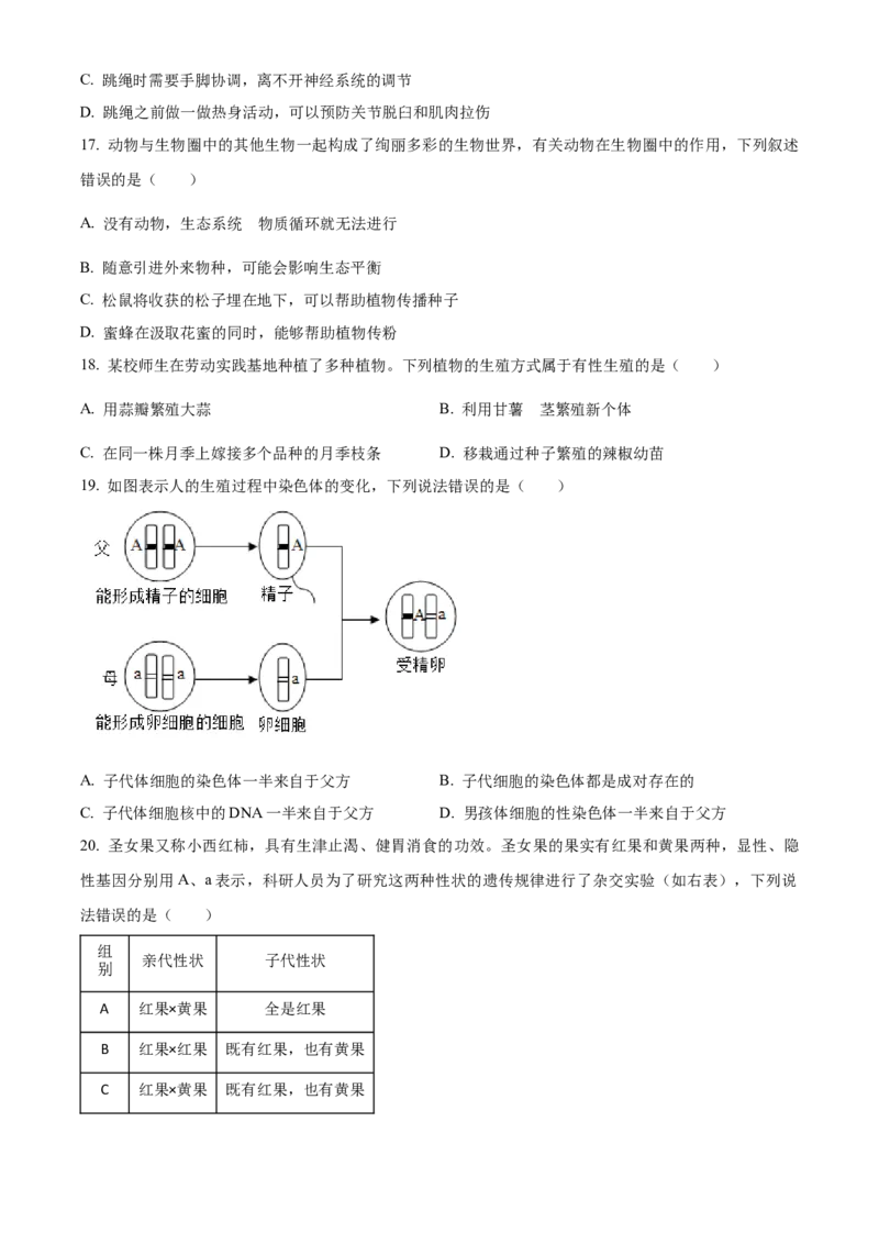 精品解析：2024年山东省聊城市中考生物试题（原卷版）_new_6生物中考复习_2025中考复习资料_中考真题（近三年）_2024年生物中考真题