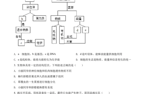 精品解析：2022年湖北省宜昌市中考生物真题（原卷版）_6生物中考复习_2025中考复习资料_中考真题（近三年）_2022年生物中考真题114份_精品解析：2022年湖北省宜昌市中考生物真题