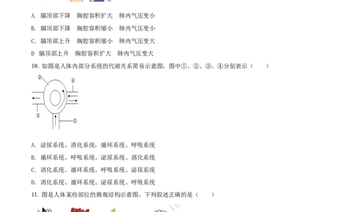 精品解析：2022年湖北省宜昌市中考生物真题（原卷版）_6生物中考复习_2025中考复习资料_中考真题（近三年）_2022年生物中考真题114份_精品解析：2022年湖北省宜昌市中考生物真题