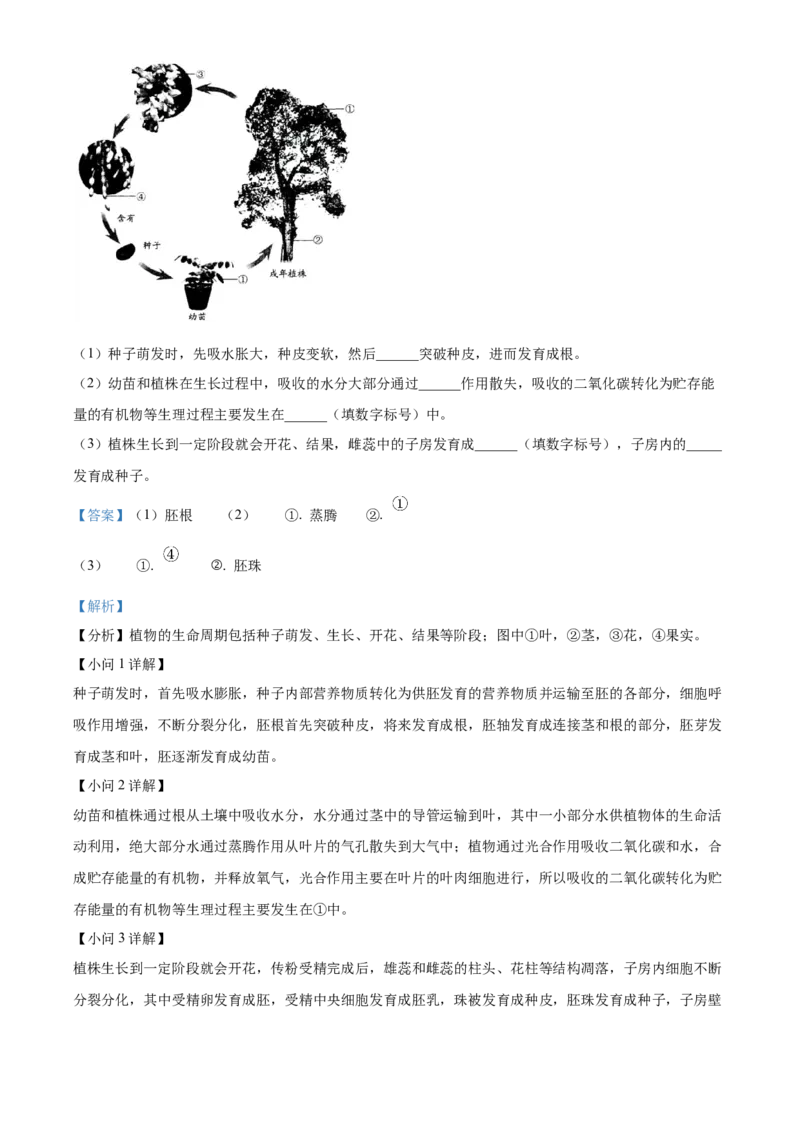 精品解析：2024年安徽省中考生物试题（解析版）_new_6生物中考复习_2025中考复习资料_中考真题（近三年）_2024年生物中考真题