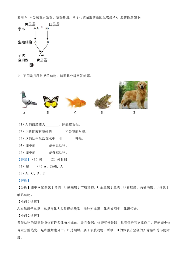 精品解析：2023年甘肃省天水市中考生物真题（解析版）_new_6生物中考复习_2025中考复习资料_中考真题（近三年）_2023年生物中考真题