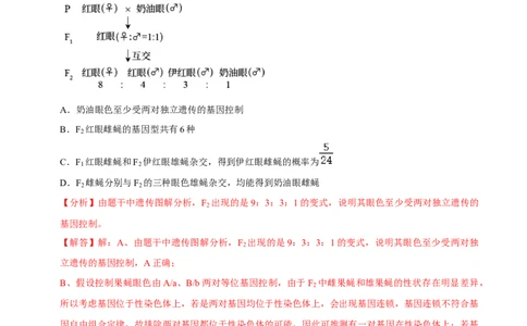 题型13伴性遗传的经典题型（题型归纳）（解析版）_新高考复习资料_2023年新高考复习资料_二轮复习_技巧点拨备战2023年高考生物二轮题型复习讲解286731240