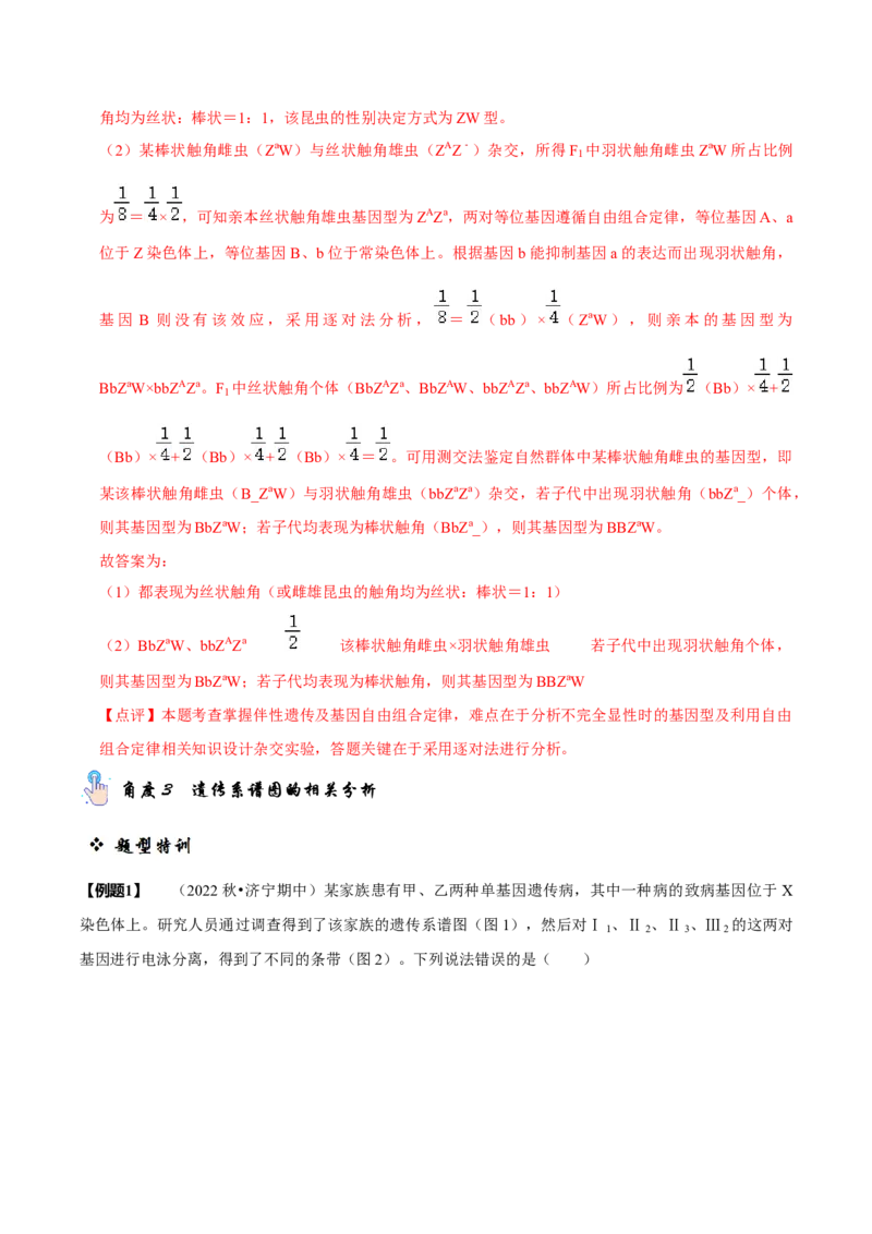 题型13伴性遗传的经典题型（题型归纳）（解析版）_新高考复习资料_2023年新高考复习资料_二轮复习_技巧点拨备战2023年高考生物二轮题型复习讲解286731240