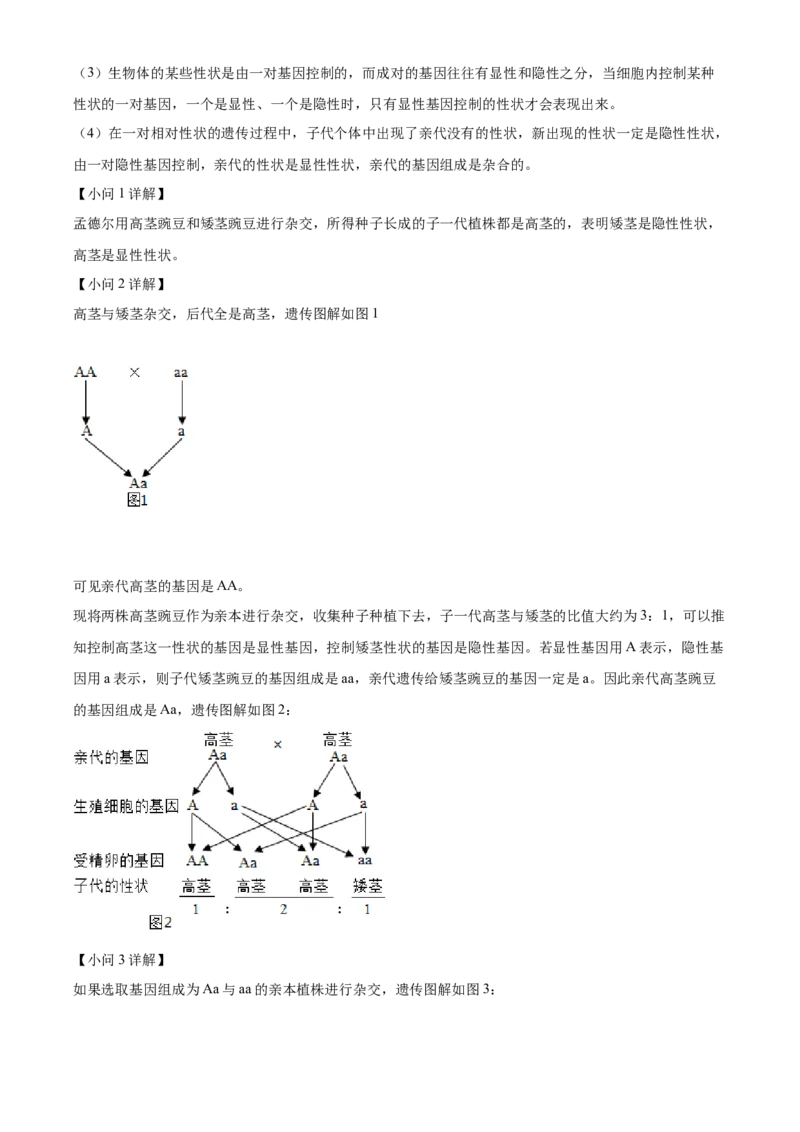 精品解析：2022年湖北省随州市中考生物真题（解析版）_6生物中考复习_2025中考复习资料_中考真题（近三年）_2022年生物中考真题114份_精品解析：2022年湖北省随州市中考生物真题