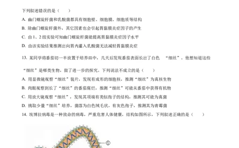精品解析：2024年四川省宜宾市中考生物试题（原卷版）_new_6生物中考复习_2025中考复习资料_中考真题（近三年）_2024年生物中考真题