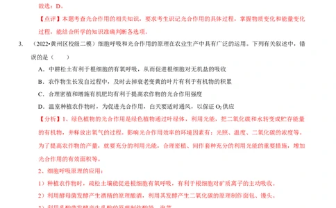 题型6从物质与能量视角探索光合作用（题型集训）（解析版）_新高考复习资料_2023年新高考复习资料_二轮复习_技巧点拨备战2023年高考生物二轮题型复习讲解286731240