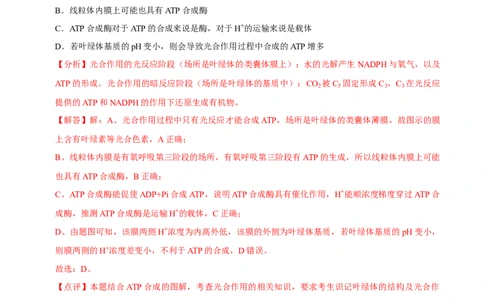 题型6从物质与能量视角探索光合作用（题型集训）（解析版）_新高考复习资料_2023年新高考复习资料_二轮复习_技巧点拨备战2023年高考生物二轮题型复习讲解286731240