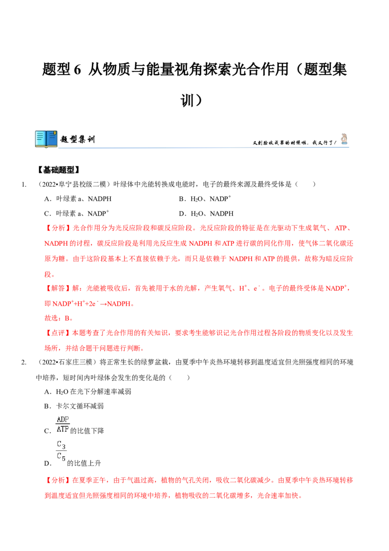 题型6从物质与能量视角探索光合作用（题型集训）（解析版）_新高考复习资料_2023年新高考复习资料_二轮复习_技巧点拨备战2023年高考生物二轮题型复习讲解286731240