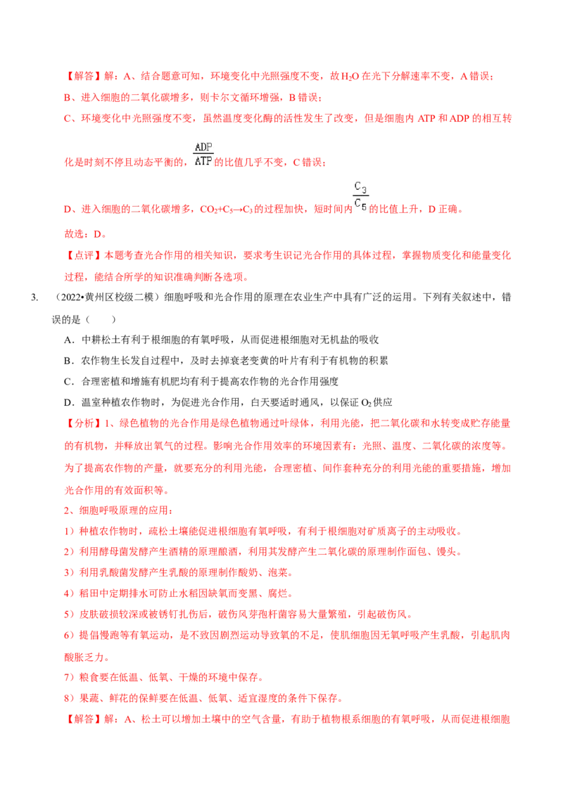题型6从物质与能量视角探索光合作用（题型集训）（解析版）_新高考复习资料_2023年新高考复习资料_二轮复习_技巧点拨备战2023年高考生物二轮题型复习讲解286731240