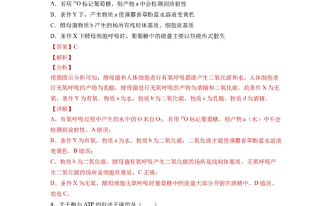 重难点05酶、ATP以及细胞呼吸（解析版）_通用版（老高考）复习资料_2023年复习资料_专项复习_2023年高考生物热点&middot;重点&middot;难点专练（全国通用）